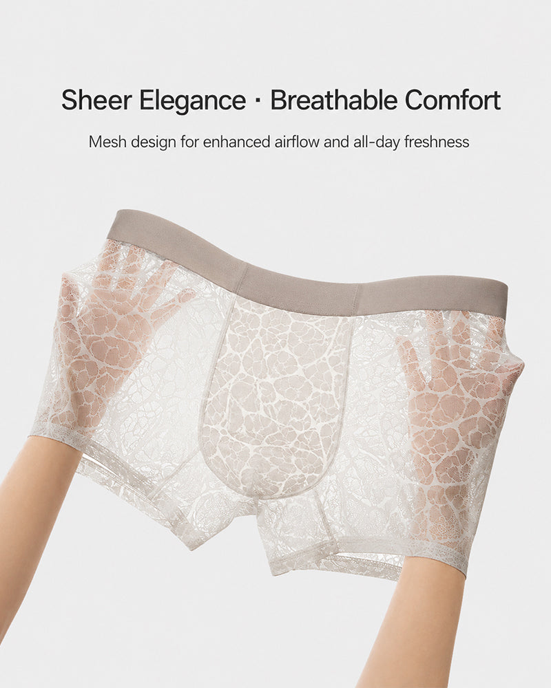 Men's Ultra-thin Lace Breathable Mesh Boxer Briefs