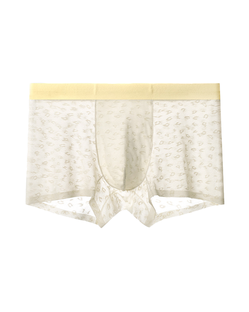 Men’s Seamless Leopard Print Ice Silk Boxer Briefs