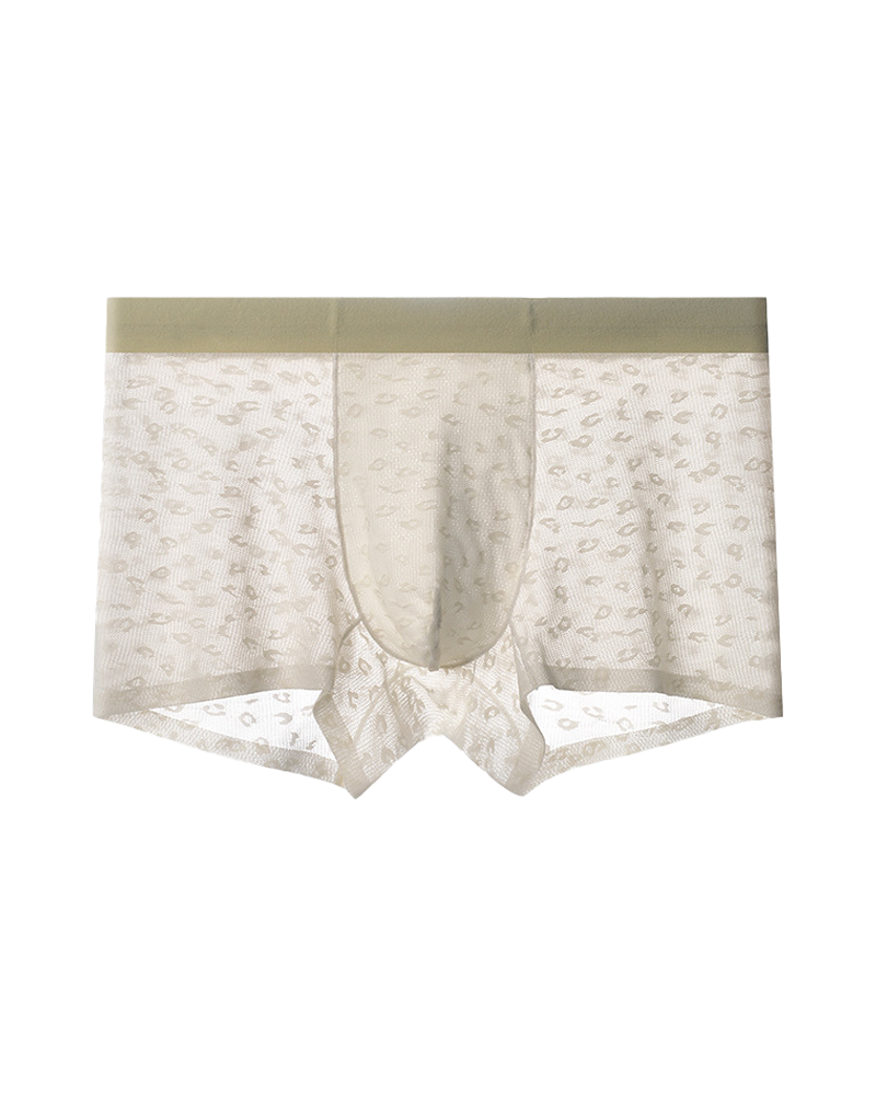 Men’s Seamless Leopard Print Ice Silk Boxer Briefs