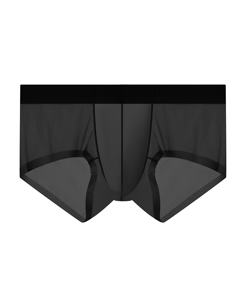 Men’s Ice Silk Sheer Cooling Briefs