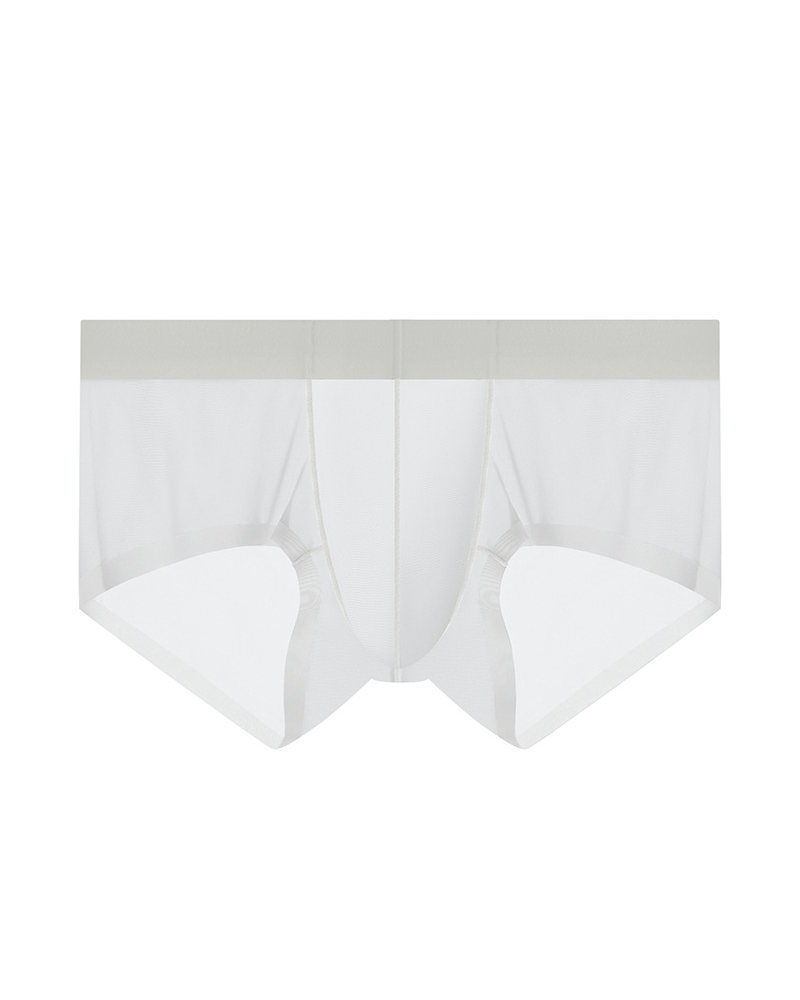 Men’s Ice Silk Sheer Cooling Briefs