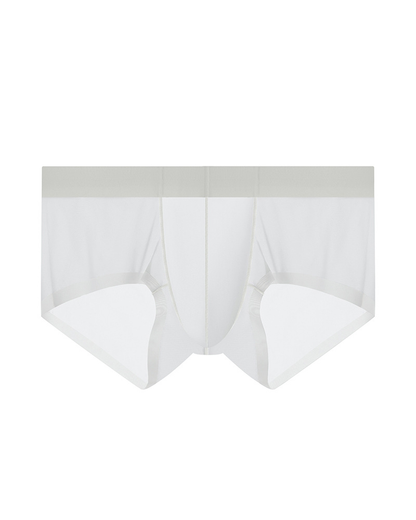 Men’s Ice Silk Sheer Cooling Briefs