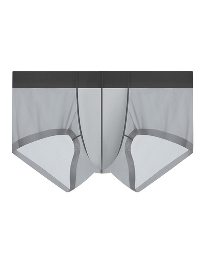 Men’s Ice Silk Sheer Cooling Briefs