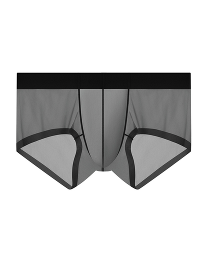 Men’s Ice Silk Sheer Cooling Briefs
