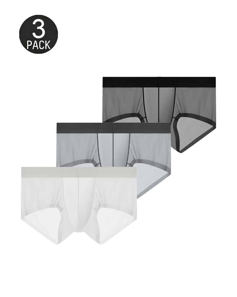 Men’s Ice Silk Sheer Cooling Briefs