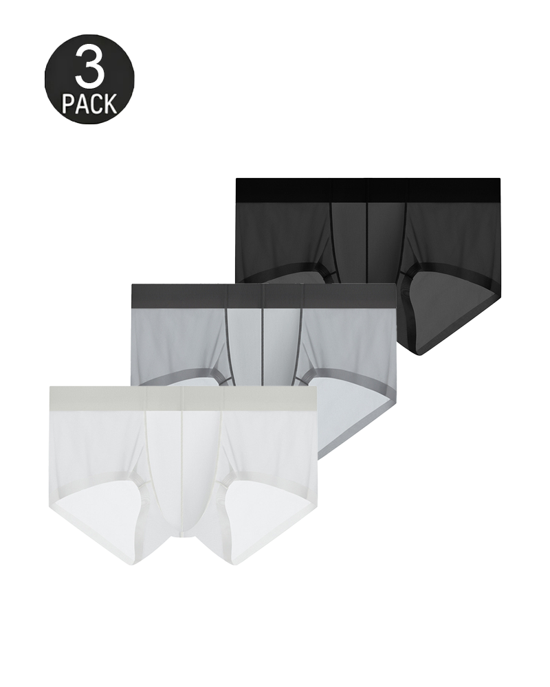 Men’s Ice Silk Sheer Cooling Briefs