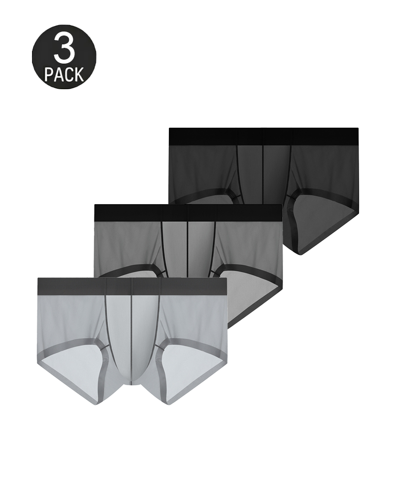 Men’s Ice Silk Sheer Cooling Briefs