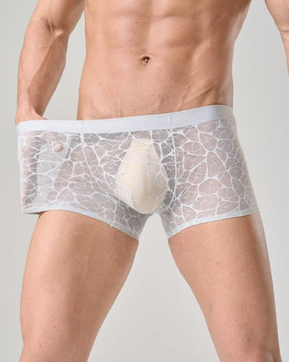 Men's Ultra-thin Lace Breathable Mesh Boxer Briefs