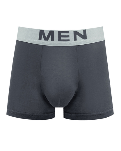 4 Packs Men's Fashion Ice Silk Sports Boxer Briefs