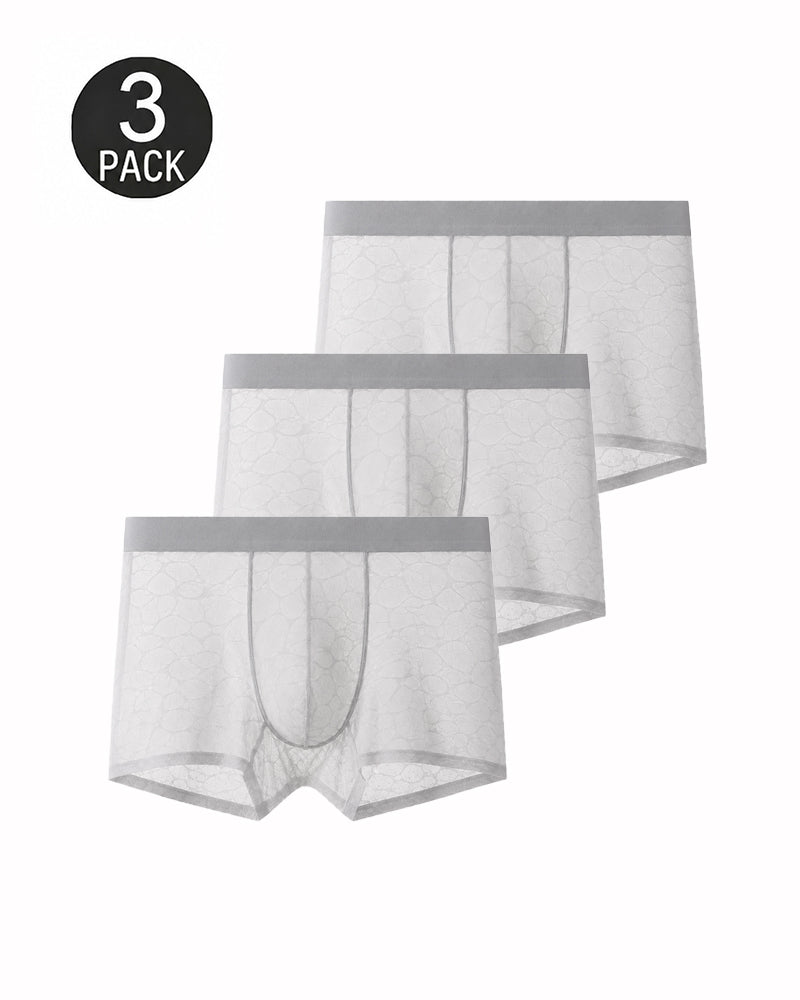 Men's Ultra-thin Lace Breathable Mesh Boxer Briefs