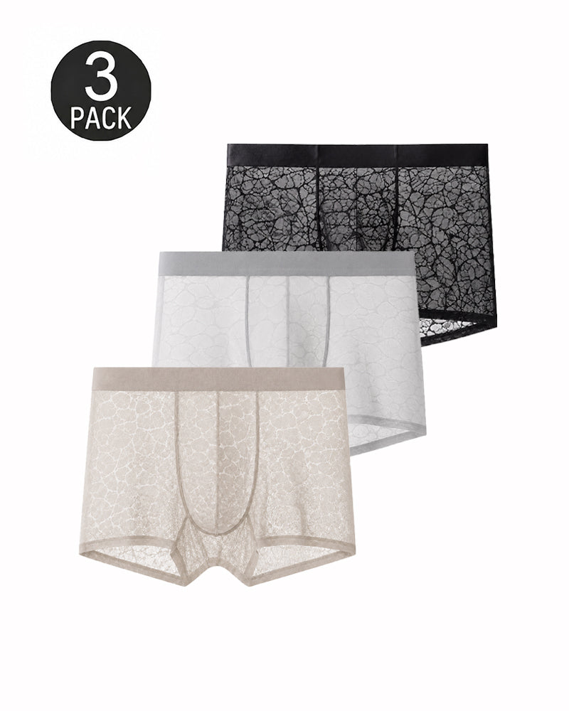 Men's Ultra-thin Lace Breathable Mesh Boxer Briefs