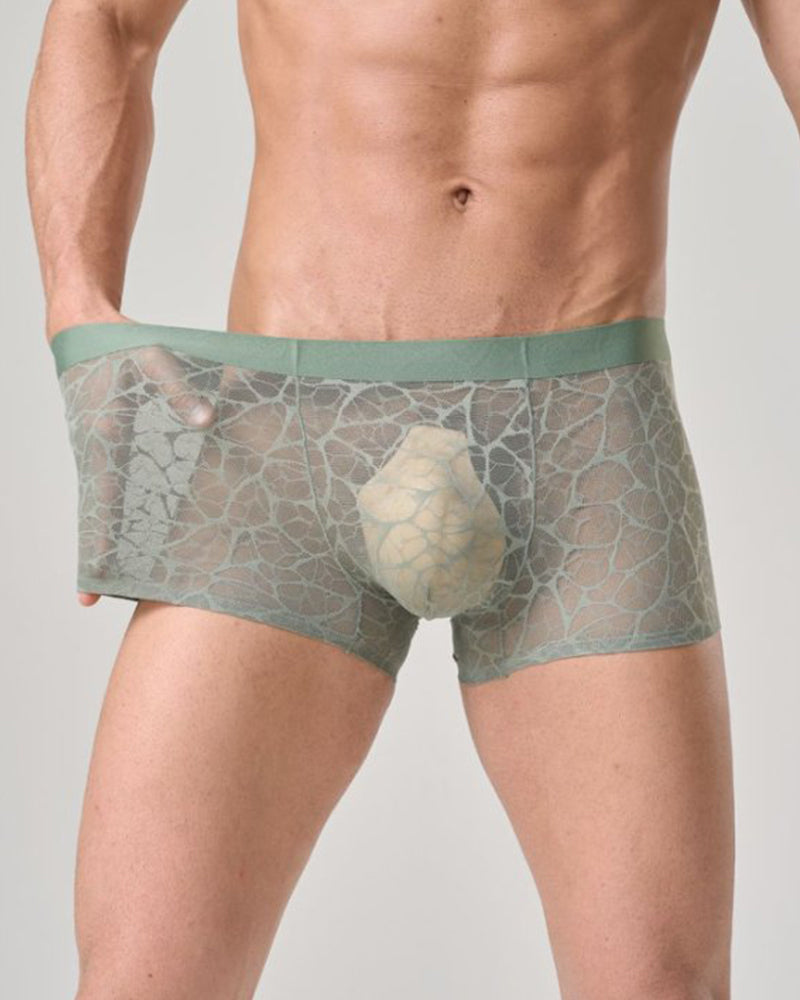 Men's Ultra-thin Lace Breathable Mesh Boxer Briefs