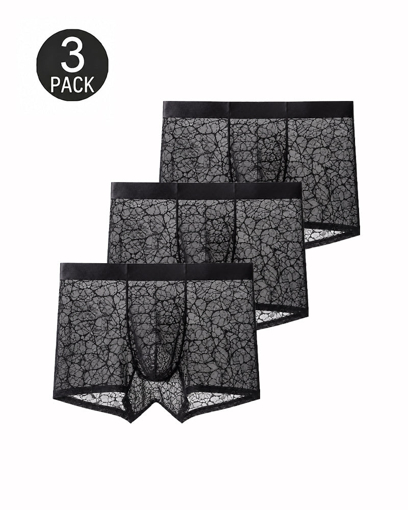 Men's Ultra-thin Lace Breathable Mesh Boxer Briefs