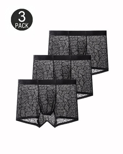 Men's Ultra-thin Lace Breathable Mesh Boxer Briefs