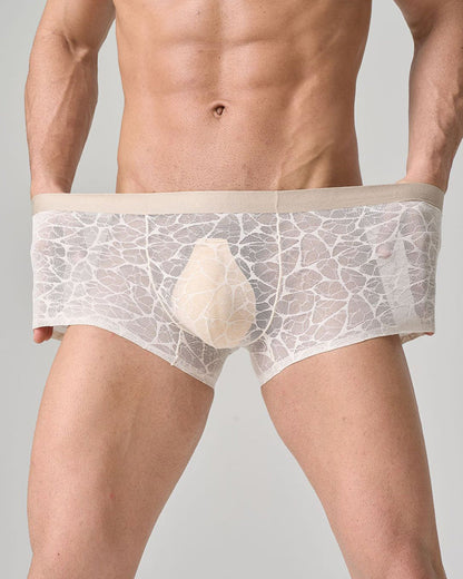 Men's Ultra-thin Lace Breathable Mesh Boxer Briefs