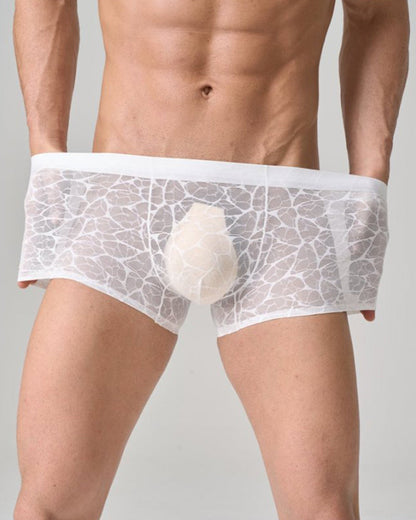 Men's Ultra-thin Lace Breathable Mesh Boxer Briefs